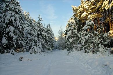 独立动作游戏《阿兹特克：遗忘诸神》发售日预告公布