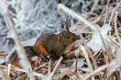 KK战令S23深海幽冥，尽享700%超值权益