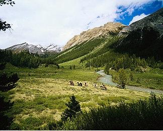 CDPR：“天狼星”《巫师》游戏已有一个新的框架