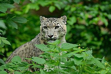 《毁灭战士：黑暗时代》历时两个月修复PS5奖杯bug 玩家终于可以白金了